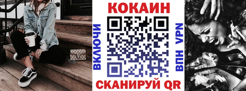 Cocaine Fish Scale  Купить закладки  Вельск 