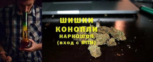 гидра Козельск