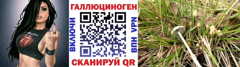 Псилоцибиновые грибы Cubensis  Купить закладки  Вельск 